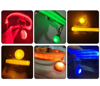 USB Light Up Dog Collar With Pendant