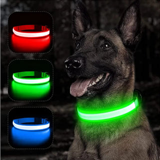 USB Light Up Dog Collar With Pendant