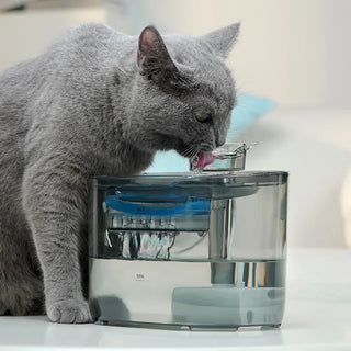 Automatic Cat Water Fountain Automatic with Recirculate Filters