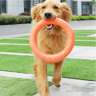 Pet Flying Ring Puller Disk