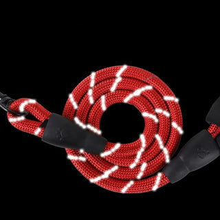 NightGuard Reflective Nylon Leash