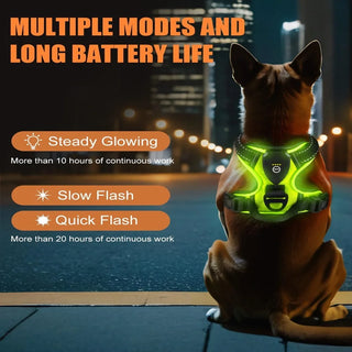 LumiGuard LED Dog Harness