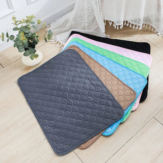 Dog Pee Pad Blanket – Reusable & Ultra Absorbent