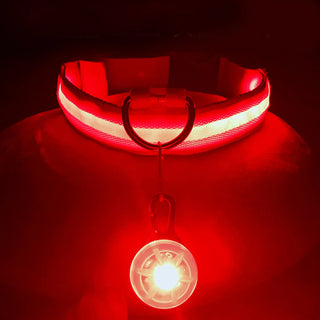 USB Light Up Dog Collar With Pendant