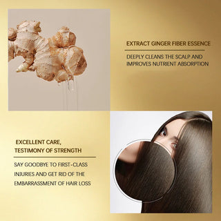 REAROYA Silky  Ginger Essence Shampoo