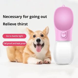 300ML Pet Travel Water Bottle