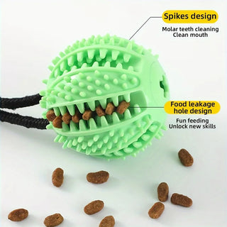 TugTrek Suction Cup Dog Toy