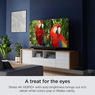 55-Inch Select Series 4K HDR RokuTV with Roku Enhanced Voice Remote
