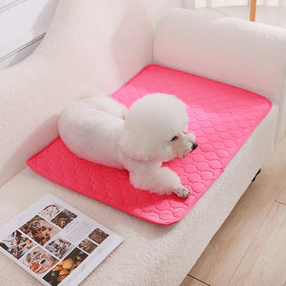 Dog Pee Pad Blanket – Reusable & Ultra Absorbent