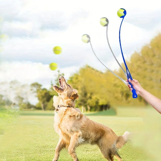 Pet Tennis Ball Launcher