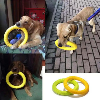 Dog Training Ring Puller