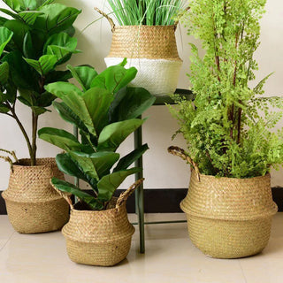 Seagrass Wicker Basket