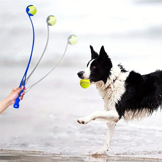 Pet Tennis Ball Launcher