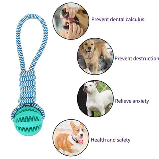 Pet Teeth Cleaning Treat Ball