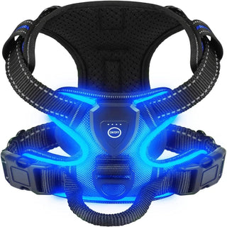 LumiGuard LED Dog Harness