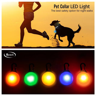 USB Light Up Dog Collar With Pendant