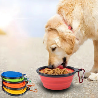 Woof! 350ml Folding Collapsible Water/Food Bowl