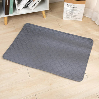 Dog Pee Pad Blanket – Reusable & Ultra Absorbent
