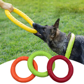 Dog Training Ring Puller