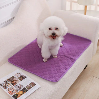 Dog Pee Pad Blanket – Reusable & Ultra Absorbent