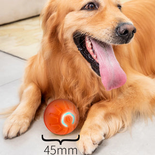 Smart Automatic Rolling Dog Ball