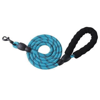 NightGuard Reflective Nylon Leash