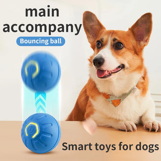 Smart Automatic Rolling Dog Ball