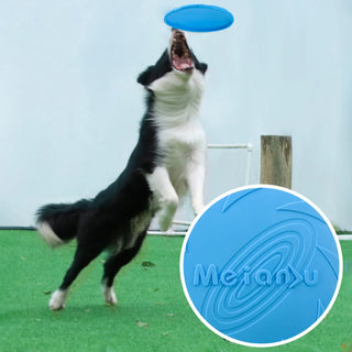 Training Frisbeed