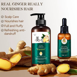 REAROYA Silky  Ginger Essence Shampoo