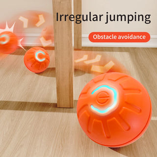 Smart Automatic Rolling Dog Ball