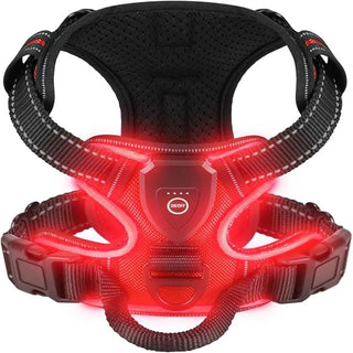 LumiGuard LED Dog Harness