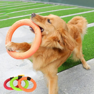 Pet Flying Ring Puller Disk