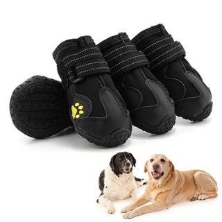 Waterproof Dog Shoes – All-Season Paw Protection
