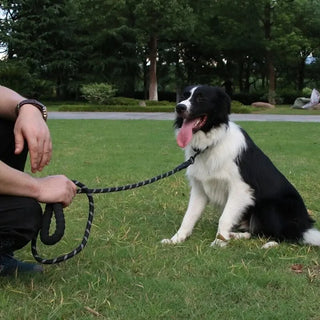 NightGuard Reflective Nylon Leash