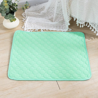 Dog Pee Pad Blanket – Reusable & Ultra Absorbent